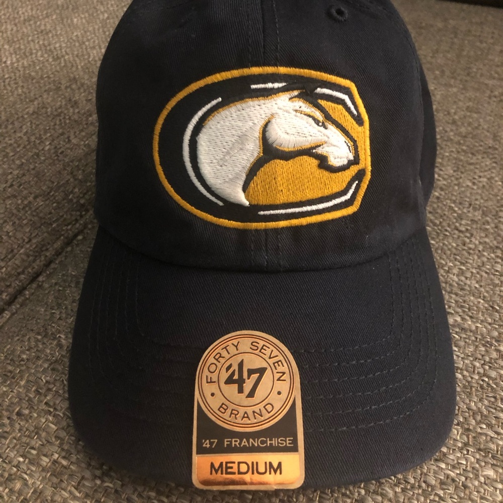 47 Brand Franchise fitted UC Davis hat. Size medium. Brand new with tags.